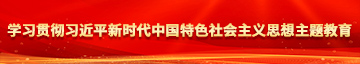 爆插后入学习贯彻习近平新时代中国特色社会主义思想主题教育